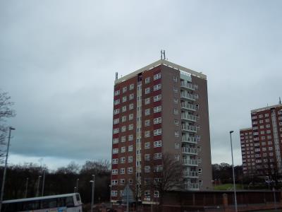 Front view
