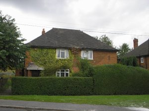 Front view.