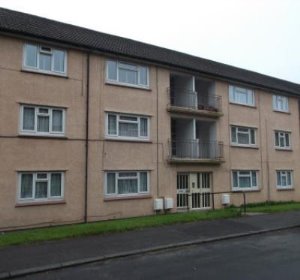 Front view
