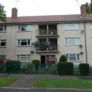 Front view