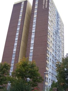 Front view