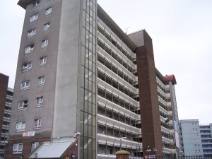 Front view